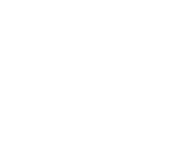 Coimbra Logo
