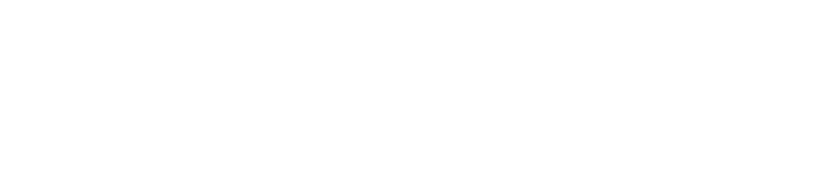 EU Logo